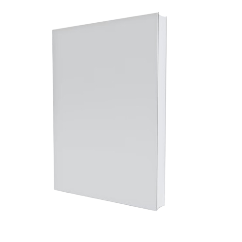 3D Ebook Dummy-2
